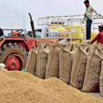 Chhattisgarh Approves 360 New Paddy…
