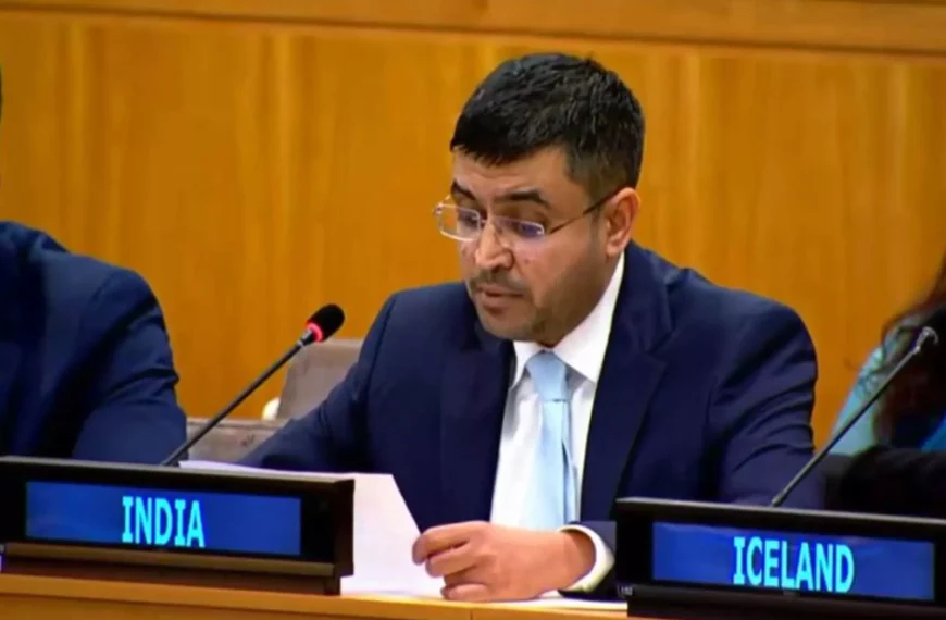India Slams UN Rapporteur Over Dawood Ibrahim Report, Questions Bias and Factual Accuracy