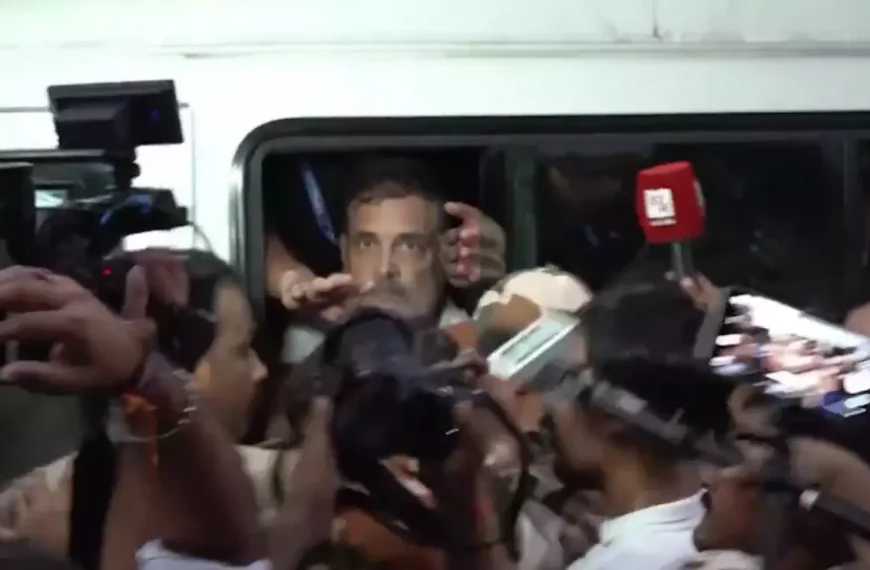 Rahul Gandhi, Priyanka Gandhi Detained During INDIA Bloc Protest Near Jantar Mantar