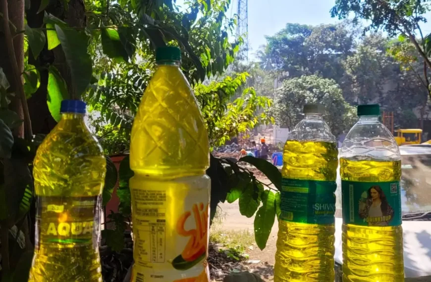 Cancer-Linked Chemical Found in Groundwater Near Nashik Kumbh Mela Area; SANDRP Raises Alarm